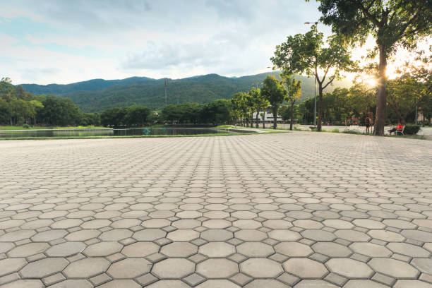 Best Permeable Paver Driveway  in Wartburg, TN